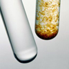 Environmental Chemistry