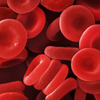 Hematology