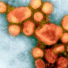 Infectious Diseases