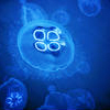Marine Biology