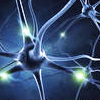 Neuroscience
