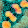 Virology
