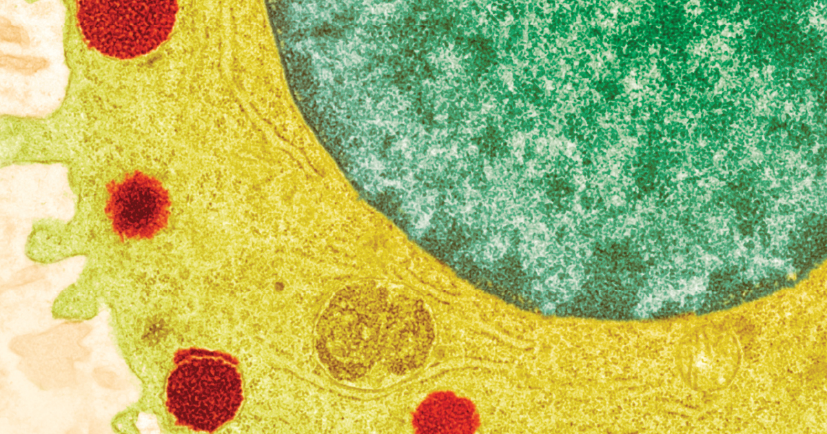 Skin Barrier Function and Its Importance at the Start of the Atopic March